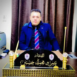 عمرو حسنين